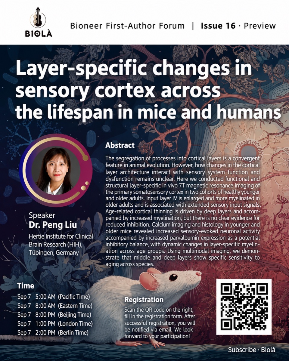 小鼠与人类感觉皮层在全生命周期中的层特异性变化 活动海报